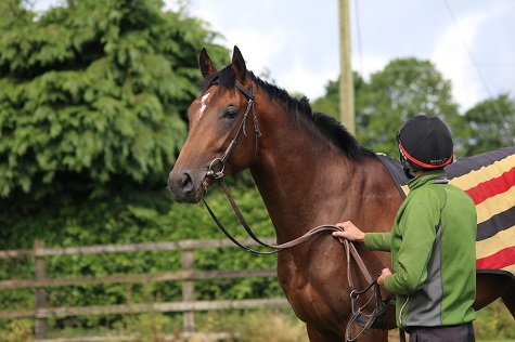 Thomastown Castle – Stack Racing